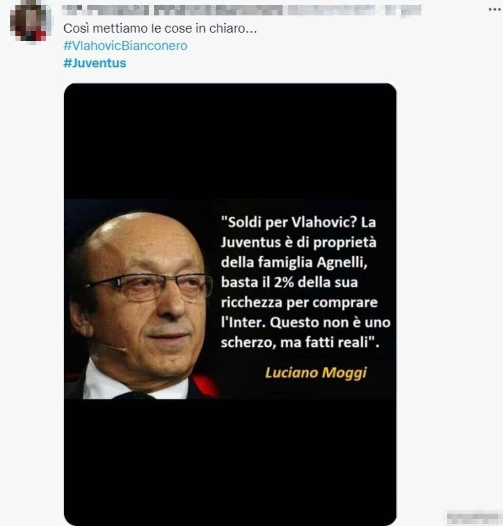 Tweet Moggi 