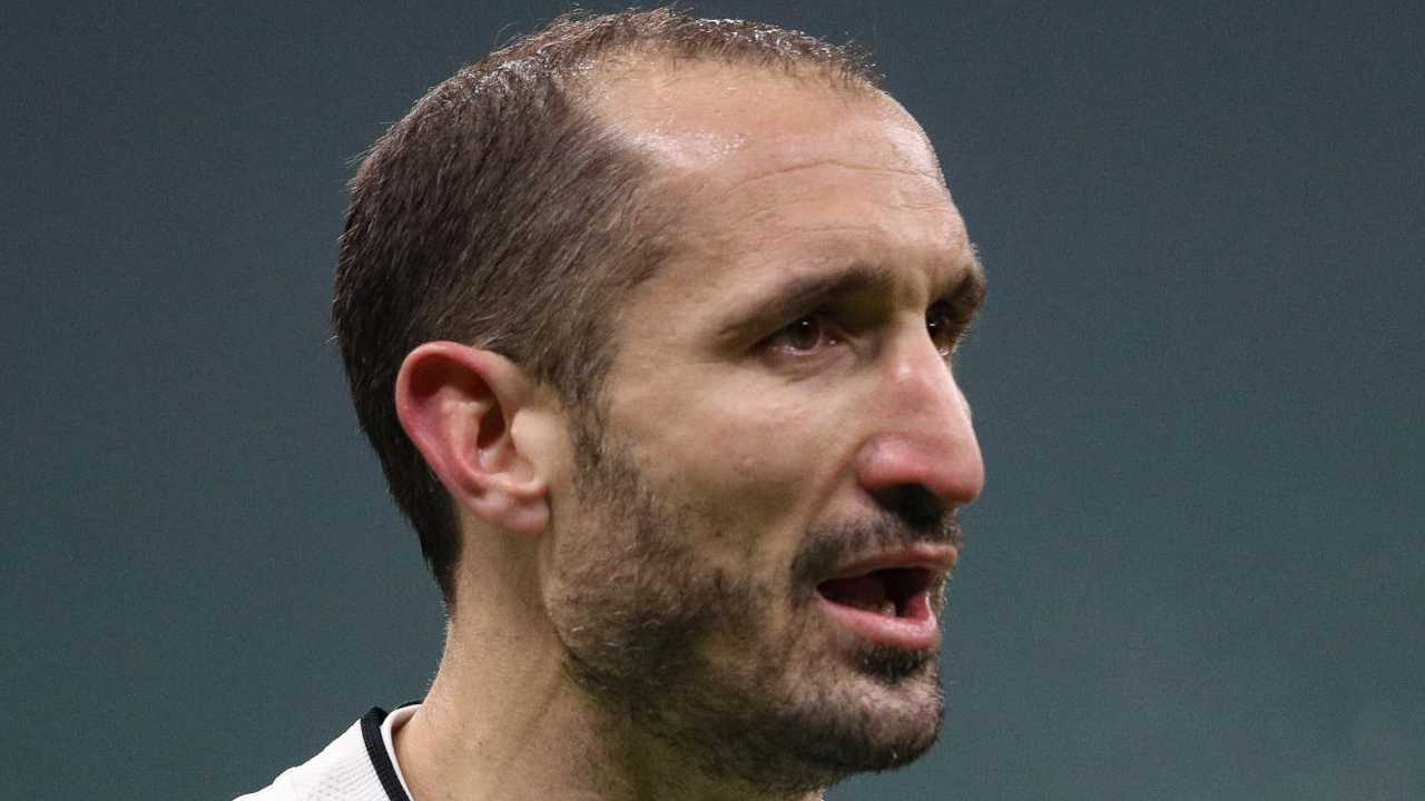 Giorgio Chiellini foto (LaPresse)