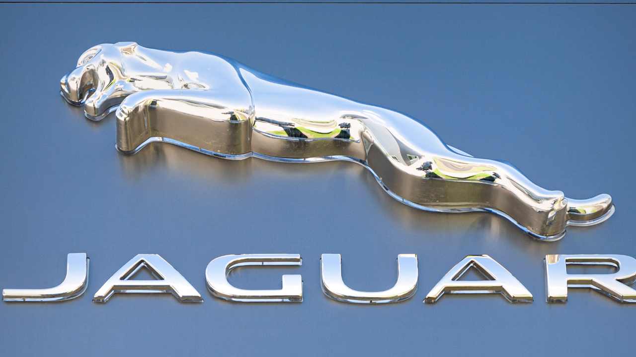 Jaguar