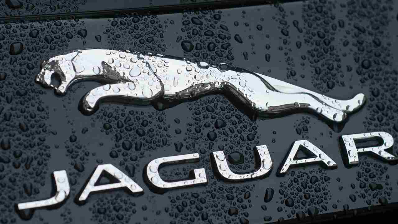 Jaguar