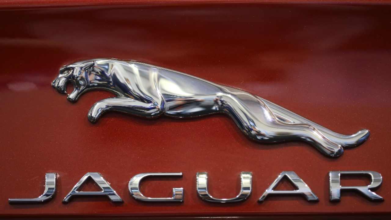 Jaguar