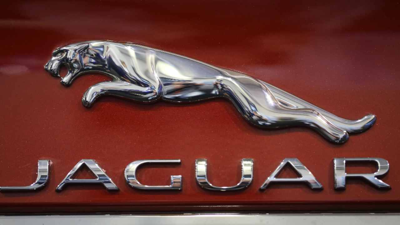 Jaguar